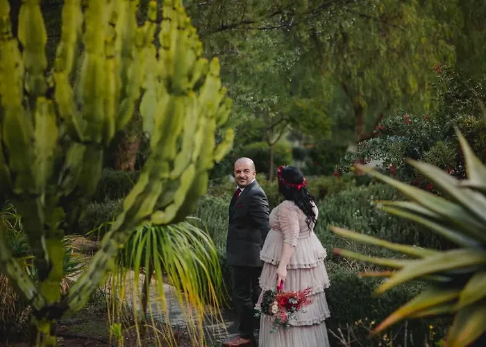 Epavli Papadopoulou - Luxury - Pool & Garden