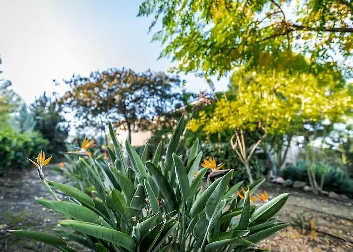 Epavli Papadopoulou - Luxury - Pool & Garden וילה Kornos