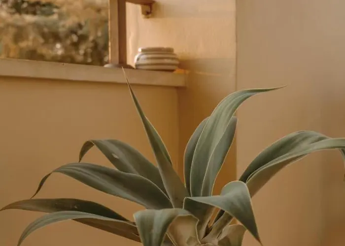 Epavli Papadopoulou - Luxury - Pool & Garden וילה Kornos