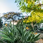 Epavli Papadopoulou - Luxury - Pool & Garden Willa Kornos