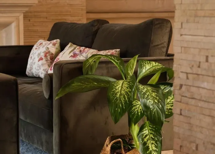 Epavli Papadopoulou - Luxury - Pool & Garden Kornos